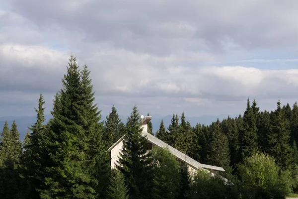 Alberi Autunnali Nella Foresta Slovacchia — Foto Stock