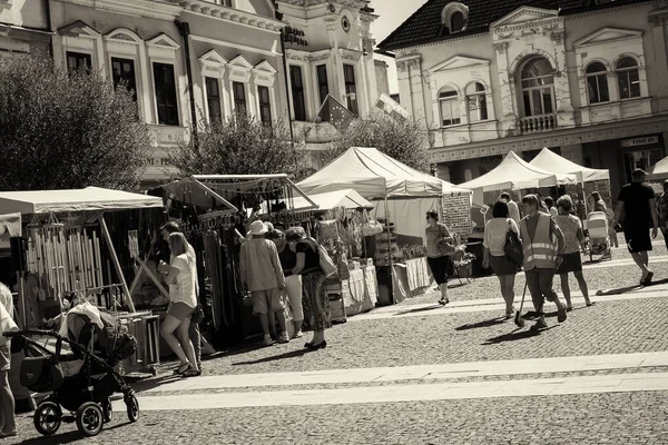 ジリナ スロバキア 2016年9月25日 家庭用品や芸術品の国内市場 自然光 — ストック写真