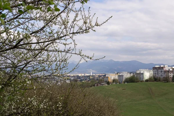 Sonnenaufgang Und Sonnenuntergang Über Gebäuden Der Stadt Zilina Slowakei — Stockfoto