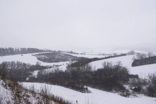 Nature Couverte Neige Pendant Hiver Profond Slovaquie — Photo