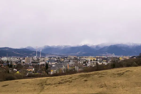 Nebliger Morgen Auf Einer Wiese Mit Bäumen Und Aussicht Slowakei — Stockfoto