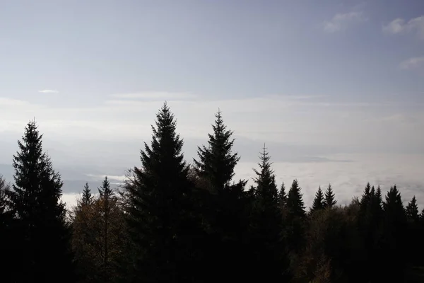 从山上欣赏美景 斯洛伐克 — 图库照片