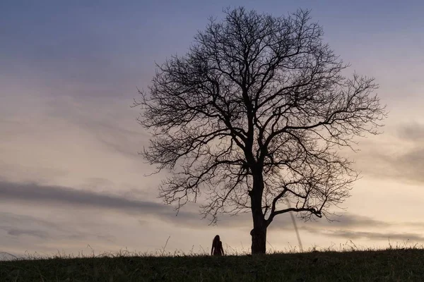 Silhouette Einer Frau Die Allein Der Nähe Eines Baumes Steht — Stockfoto