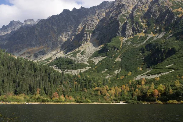 Piękna Scena Górska Drzewami Jeziorem — Zdjęcie stockowe