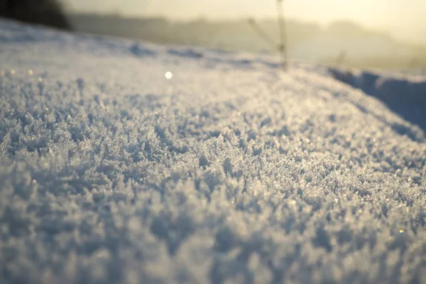 Nature Sous Neige Pendant Hiver Slovaquie — Photo