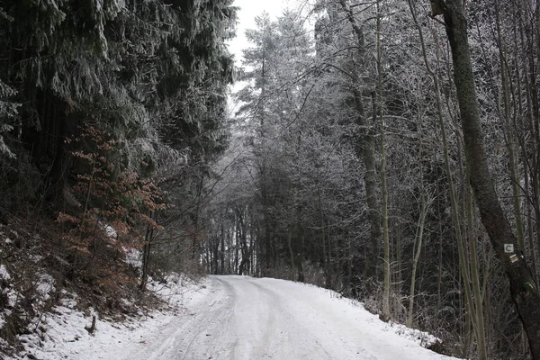 Naturaleza Cubierta Nieve Durante Invierno Profundo Países Bajos —  Fotos de Stock