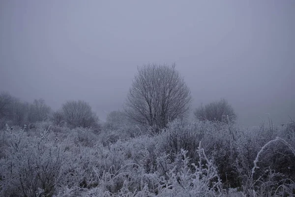 Solnedgång Äng Med Snö Vintern Slovakien — Stockfoto