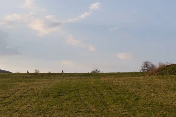 Schöne Landschaft Feld Bei Sonnenuntergang — Stockfoto