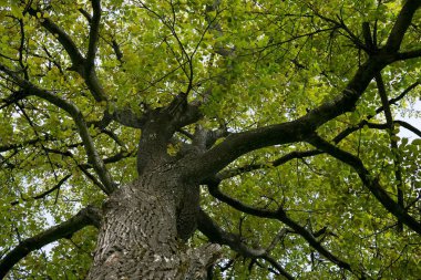 Slovakya 'nın gündüz çekim yeri