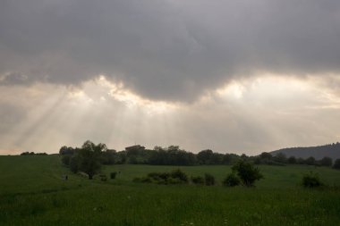 Gün batımında tarlanın güzel manzarası