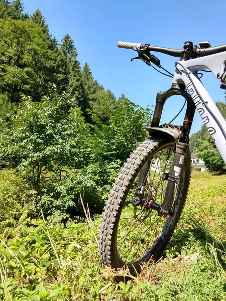 Objeto Neumático Bicicleta Sobre Fondo — Foto de Stock