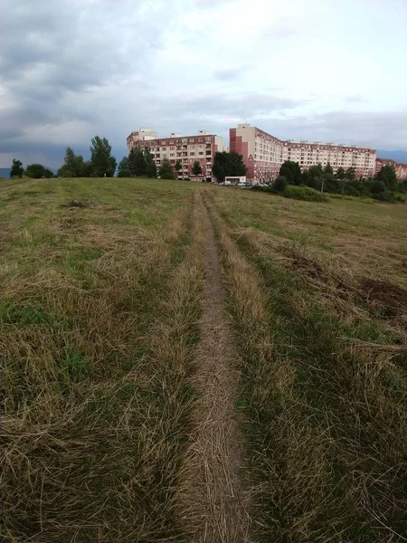 Vue Grand Angle Sentier Sur Terrain Avec Bâtiment Éloigné — Photo