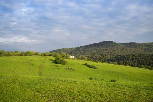 Meadow Mountains Blue Sky — Stock Photo, Image