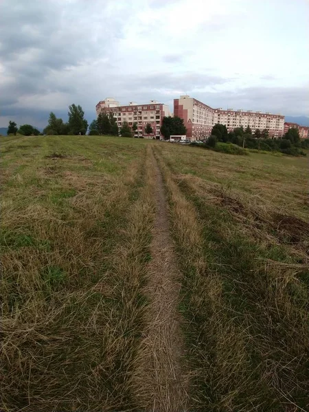 Vue Grand Angle Sentier Sur Terrain Avec Bâtiment Éloigné — Photo