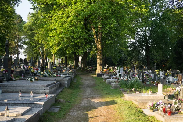 무덤들 — 스톡 사진