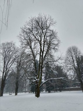 Kar altında güzel bir park 
