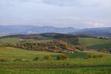 Yeşil dağ çayırı manzarası