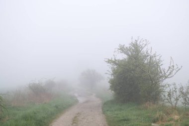 Slovakya 'nın gündüz çekim yeri