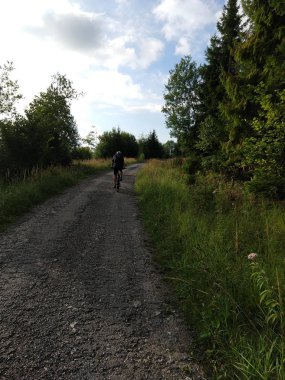 Ormanda bisiklete binen bir adamın arkadan görünüşü