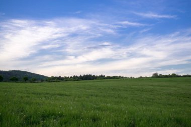 Mavi gökyüzü ile dağlarda çayır 
