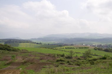 Ağaçlı ve manzaralı çayırda güzel bir sabah. Slovakya