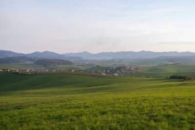Yeşil dağ çayırı manzarası