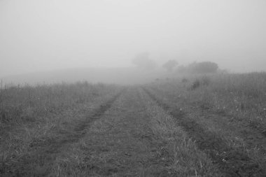 Ağaçlar ve manzaralı çayırda puslu bir sabah. Slovakya