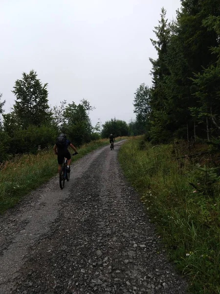 在森林里骑自行车的人的后视镜 — 图库照片