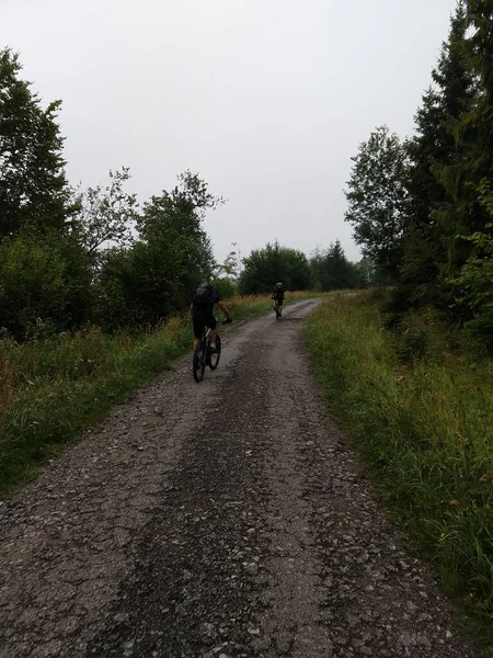 Achteraanzicht Van Een Mannenrit Fiets Het Bos — Stockfoto