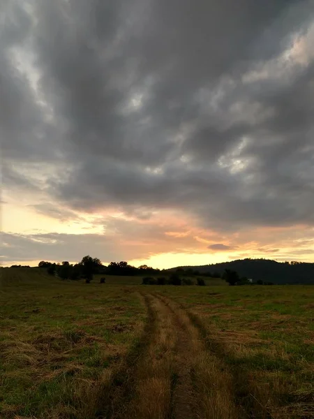 Večerní Záběr Louky — Stock fotografie