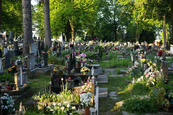 Old Graves Background Town — Stock Photo, Image