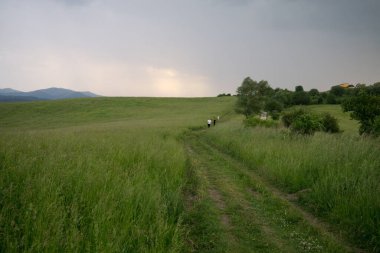 Renkli bulutlarla gün batımı ve gün doğumu. Slovakya
