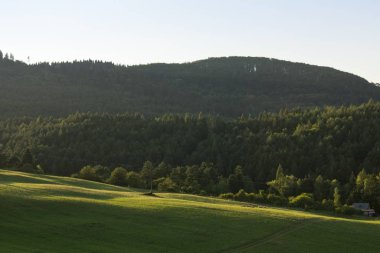Mavi gökyüzü ile dağlarda çayır 