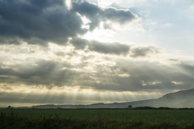 Gün batımında tarlanın güzel manzarası