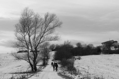 Parkta aşık bir çift.