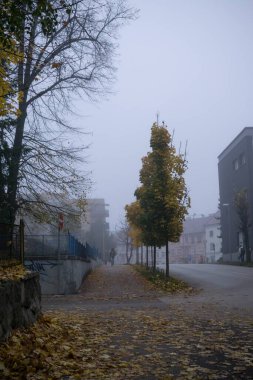 Sonbahar şehri manzaralı binalar