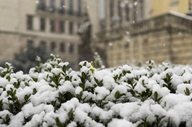 Slovakya 'da kış parkı gündüz çekimleri