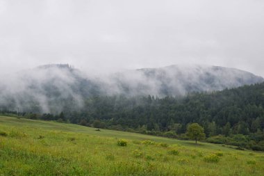 Sis ve bulutlarla kaplı dağ manzarası