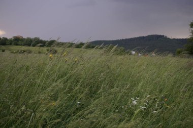 Renkli bulutlarla gün batımı ve gün doğumu. Slovakya
