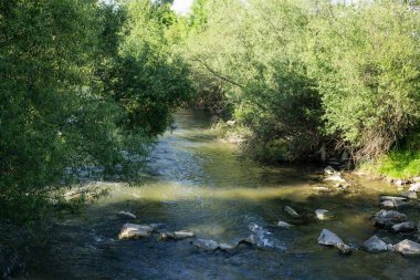 Bahar doğasında göl. Slovakya