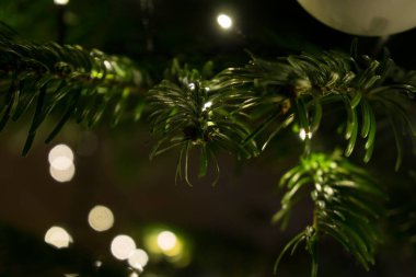 Köknar ağacındaki Noel süslemelerini kapat