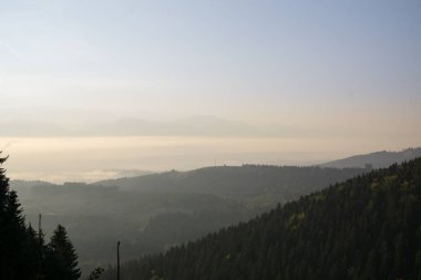 Dağlarda sisli bir sabah. Gündüz çekimi