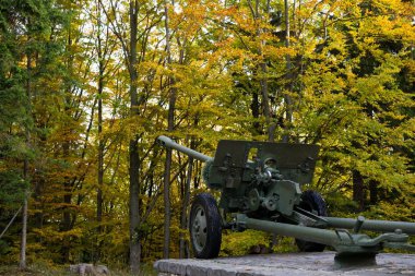 Parktaki eski askeri silah.