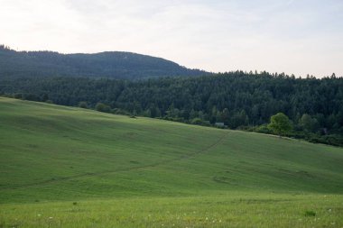 Dağlardaki çayır inanılmaz doğal manzara