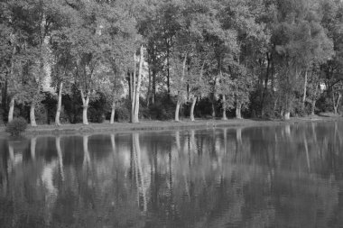 Büyük nehir günü vuruşu