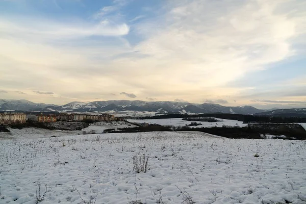 Natureza Sob Neve Durante Inverno Eslováquia — Fotografia de Stock