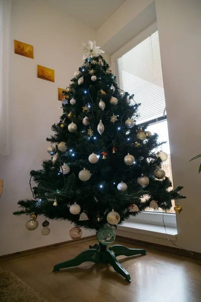 Tutup Dari Dihiasi Pohon Cemara Natal — Stok Foto
