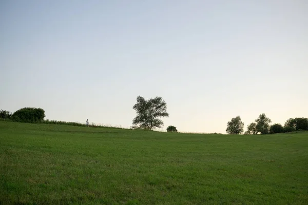 Green Mountain Meadow Landscape — Stock Photo, Image