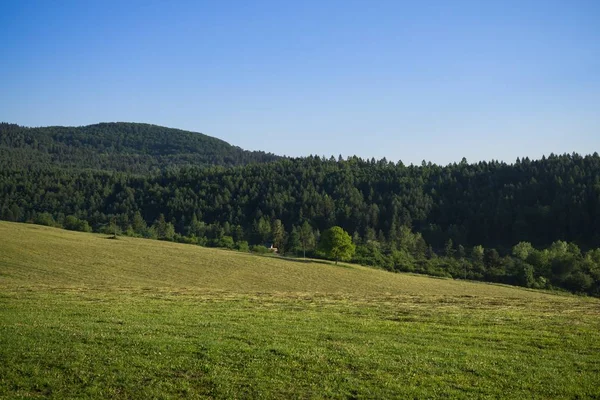 Green Mountain Meadow Landscape — ストック写真