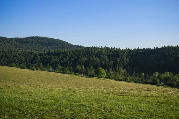 Paisagem Verde Prado — Fotografia de Stock